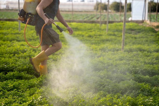 Best Exterminator Services  in Mcminnville, TN