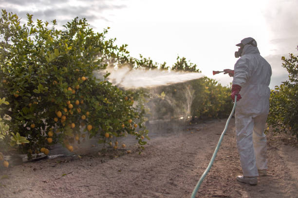 Best Mosquito Control Services  in Mcminnville, TN