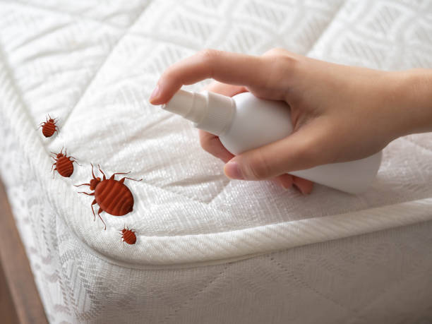 Best Pest Prevention Services  in Mcminnville, TN