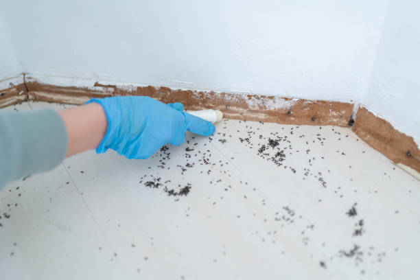 Best Affordable Pest Control Services  in Mcminnville, TN