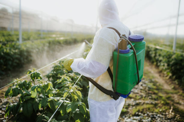 Best Pest Control Treatment  in Mcminnville, TN